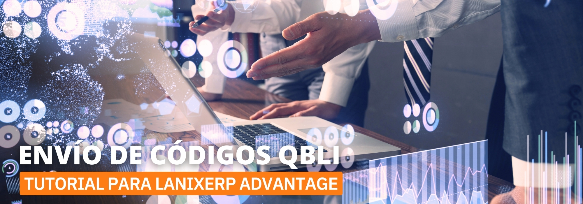 LanixERP codigo qlbi