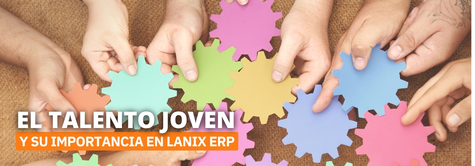 Lanix ERP y los futuros profesionales.